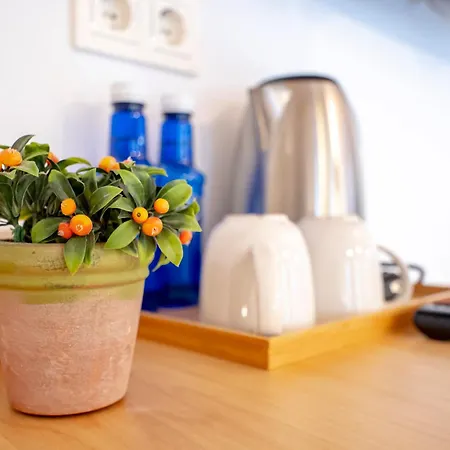 Aristondo Boutique Pentsioa 4*