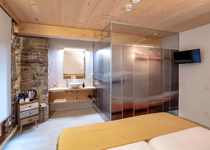 Aristondo Boutique Pentsioa 4*