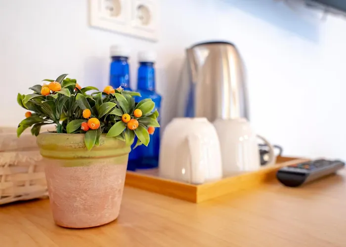 Aristondo Boutique Pentsioa 4*